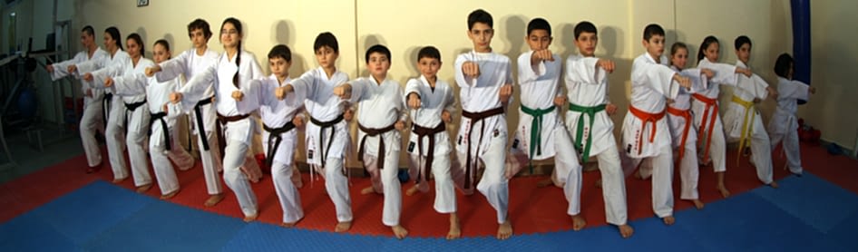 KARATE